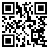 QR:走私案件单位其他责任人员相关问题分析